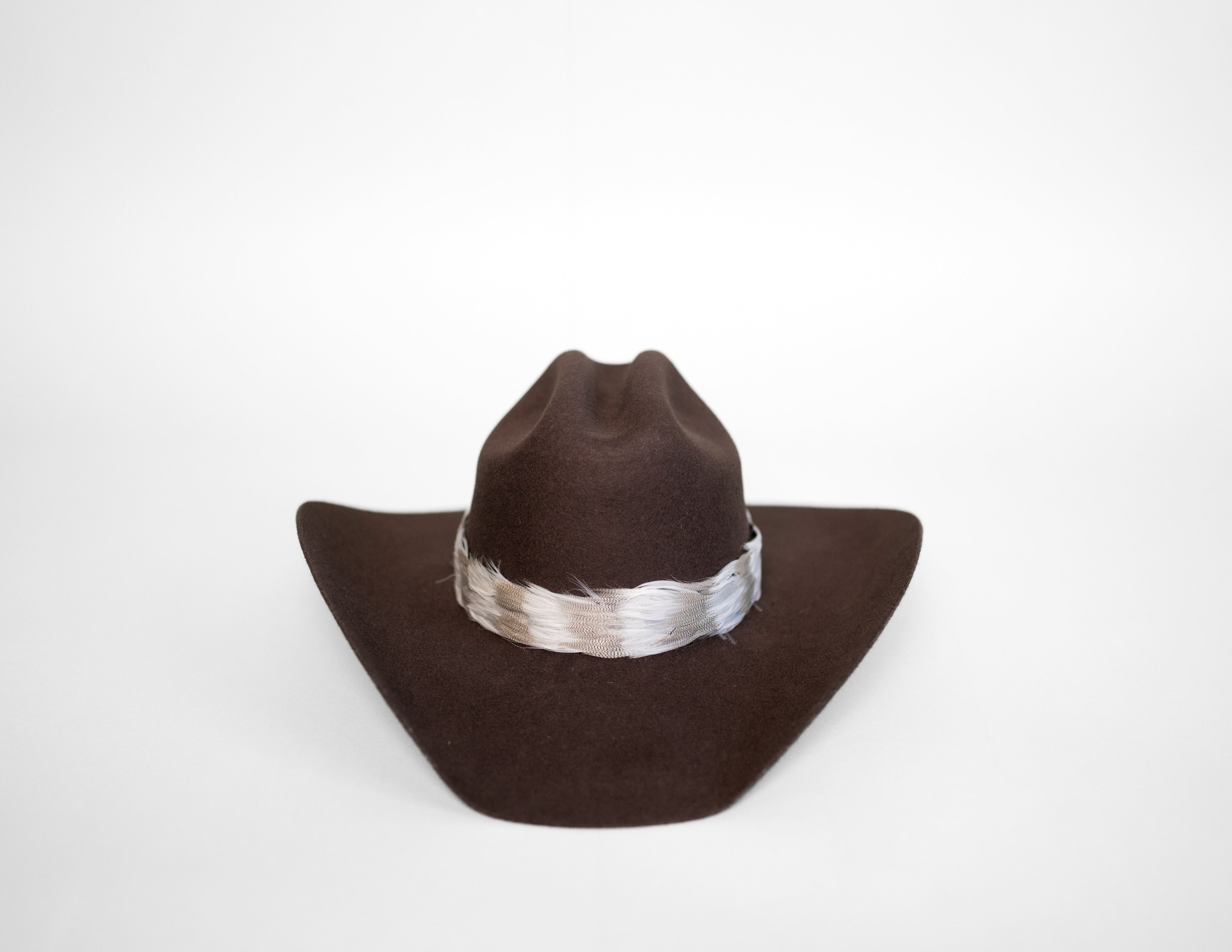 Feather Hat Band — Moonlit