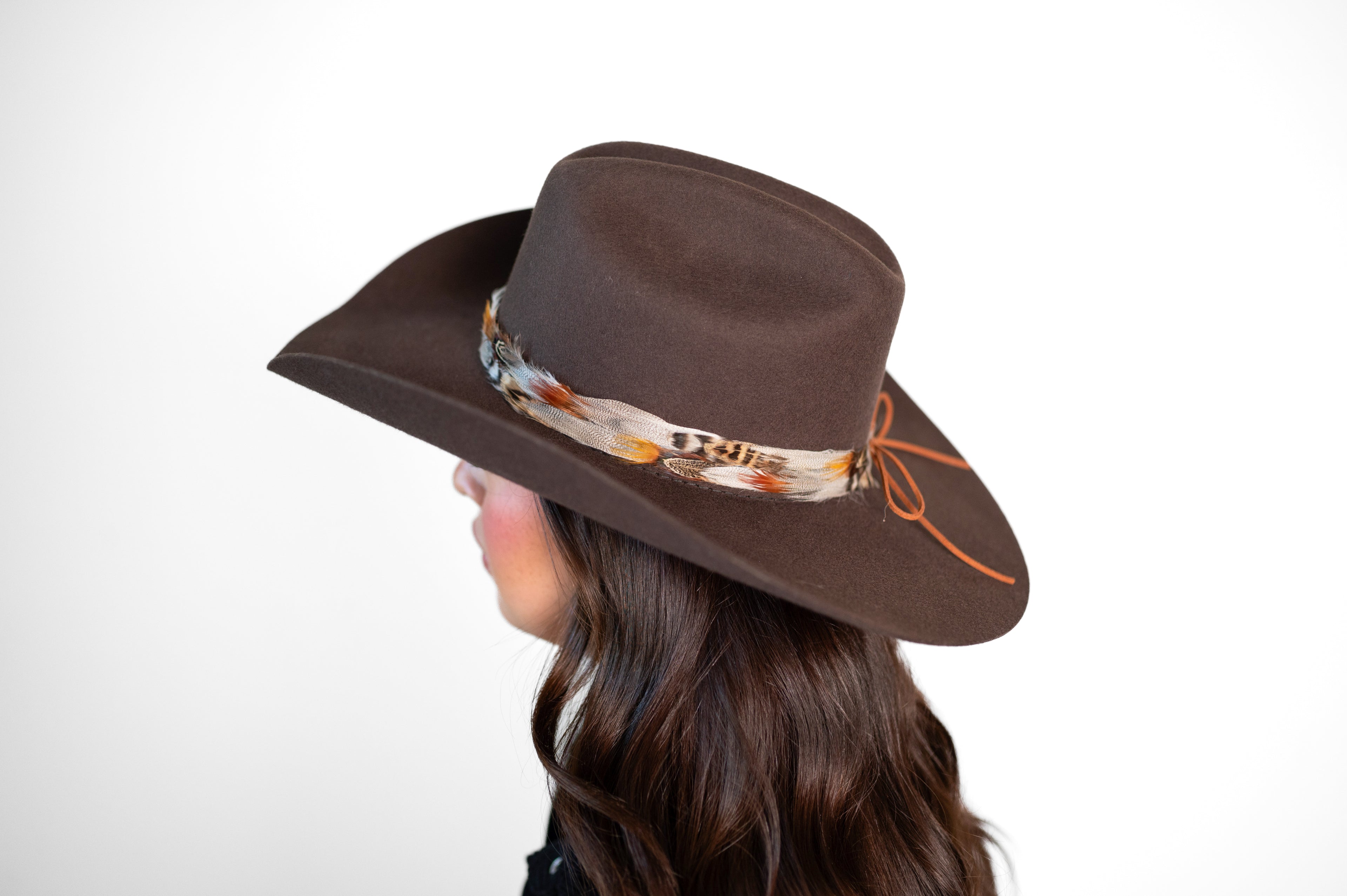 Feather Hat Band - Desert Blaze