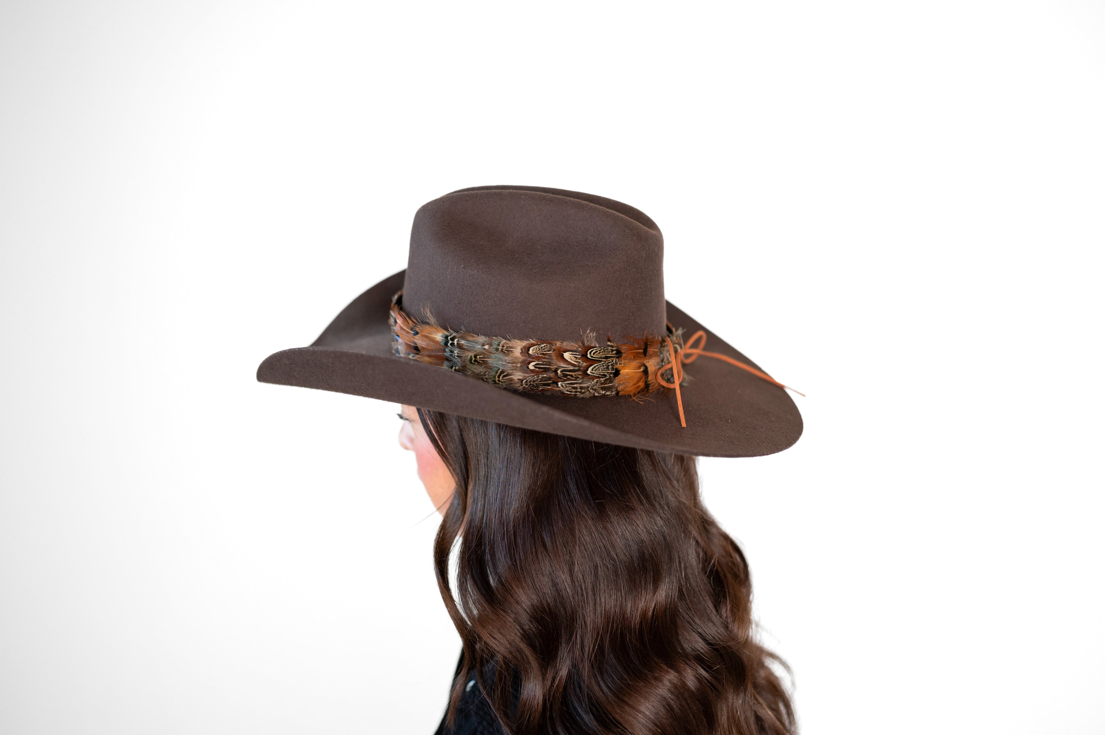 Feather Hat Band - High Noon