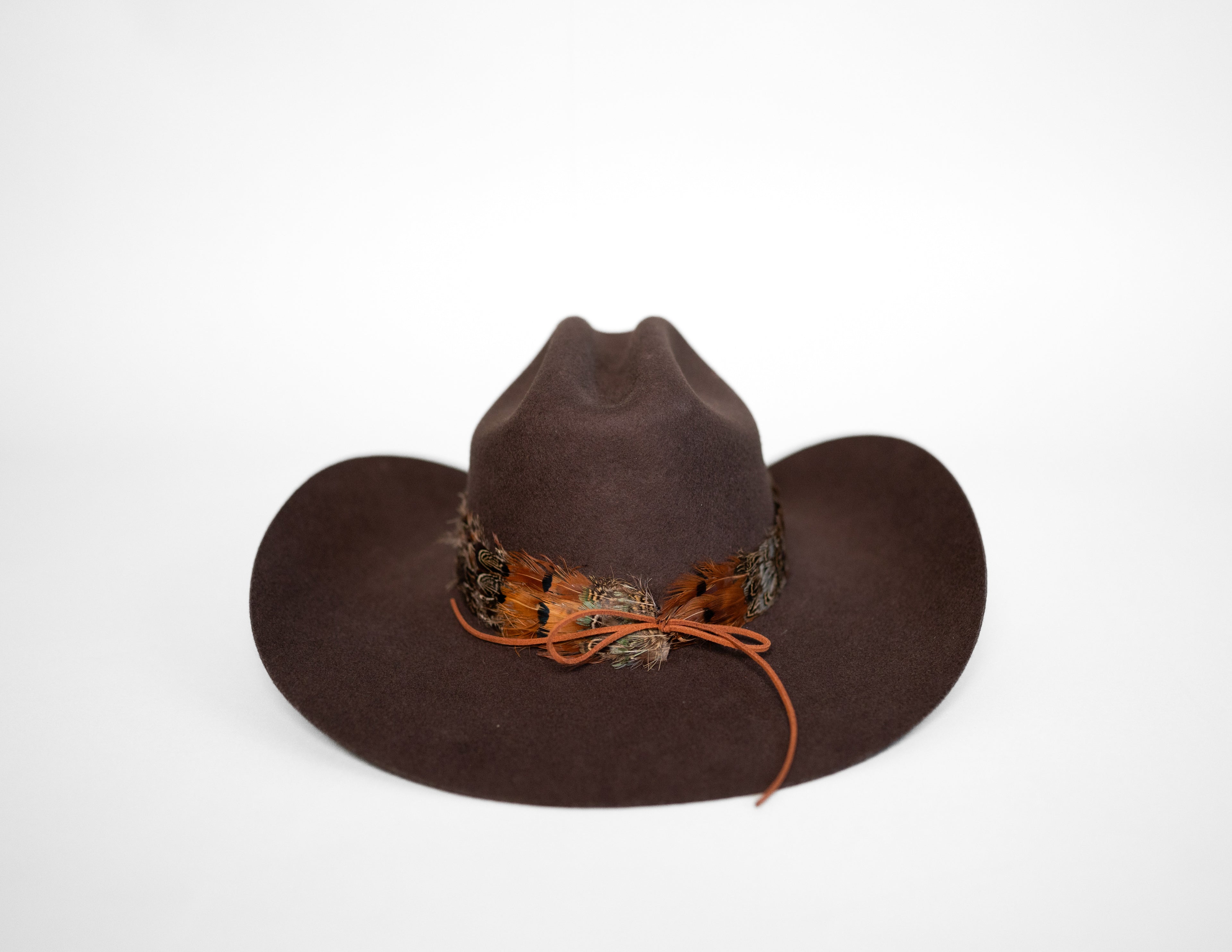 Feather Hat Band - High Noon