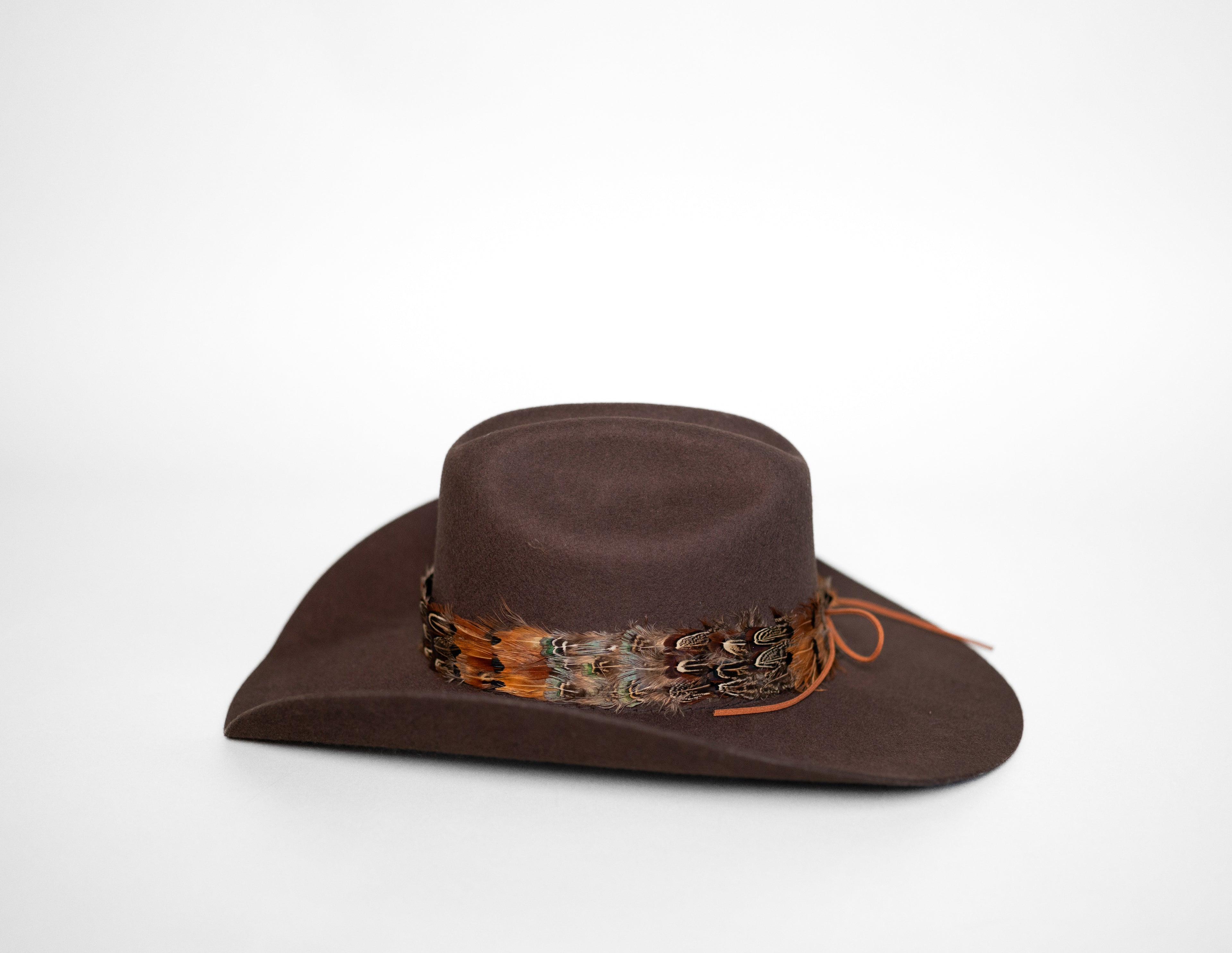 Feather Hat Band - High Noon