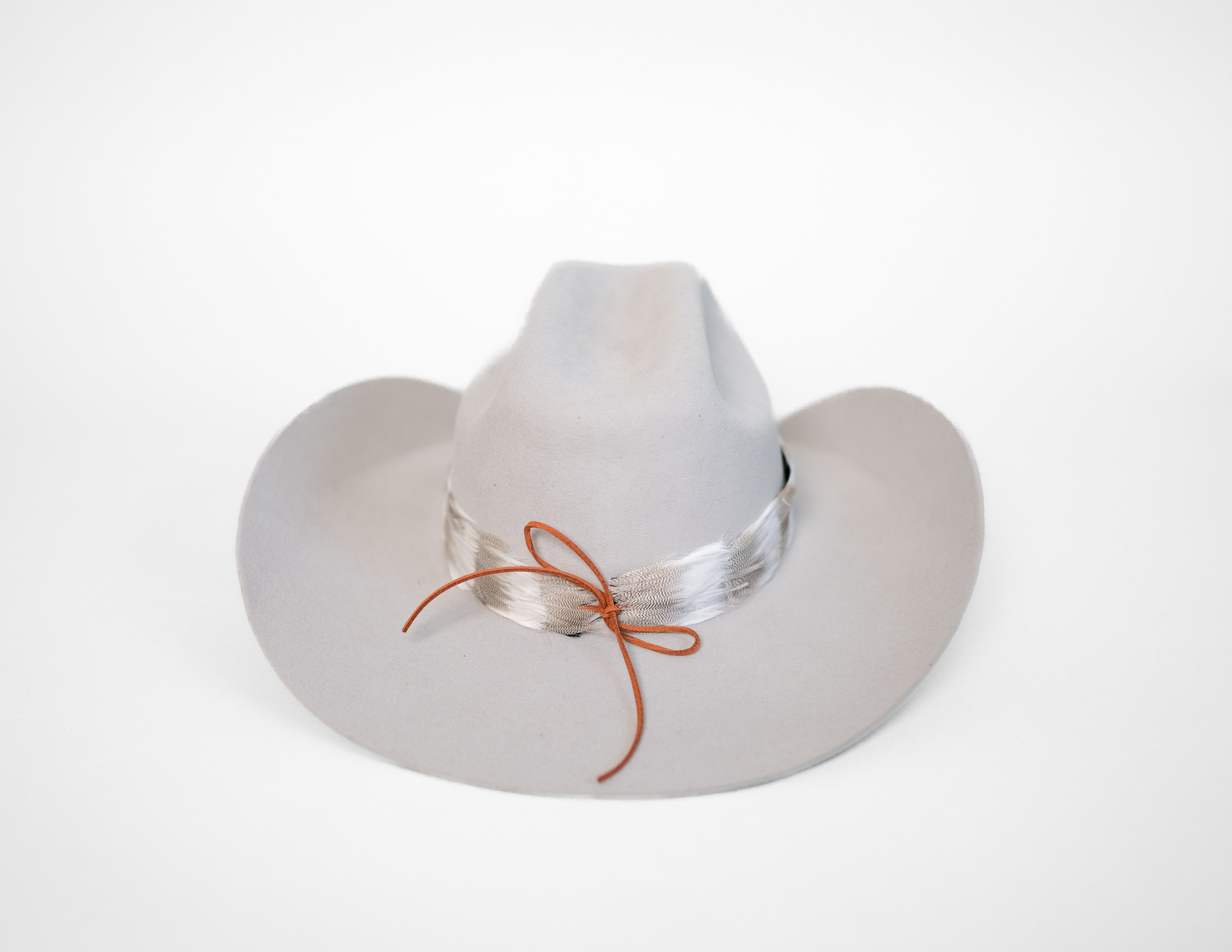 Feather Hat Band — Moonlit