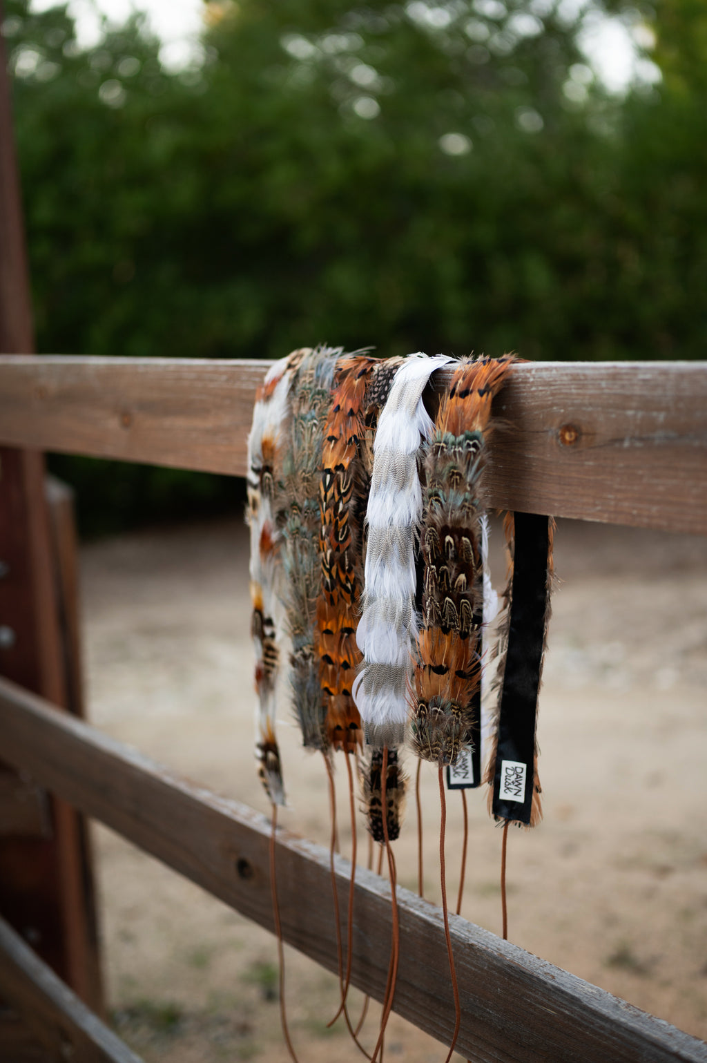 Feather Hat Band - High Noon